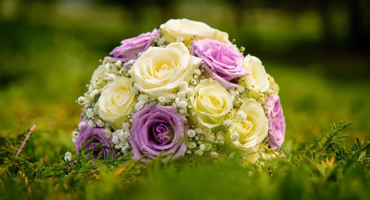 A bouquet of roses in purple and yellow